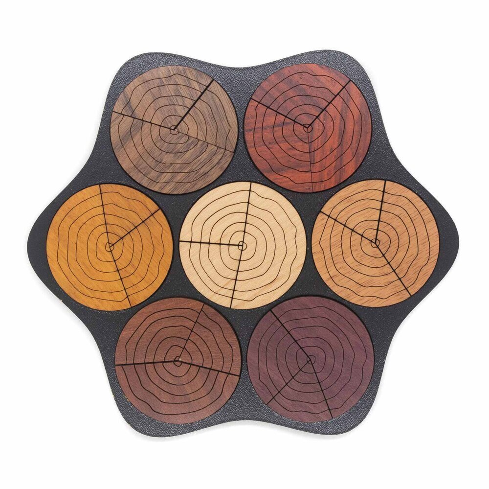 CT Cercles multicolores - Casse - tête en bois - Rouge et Noir