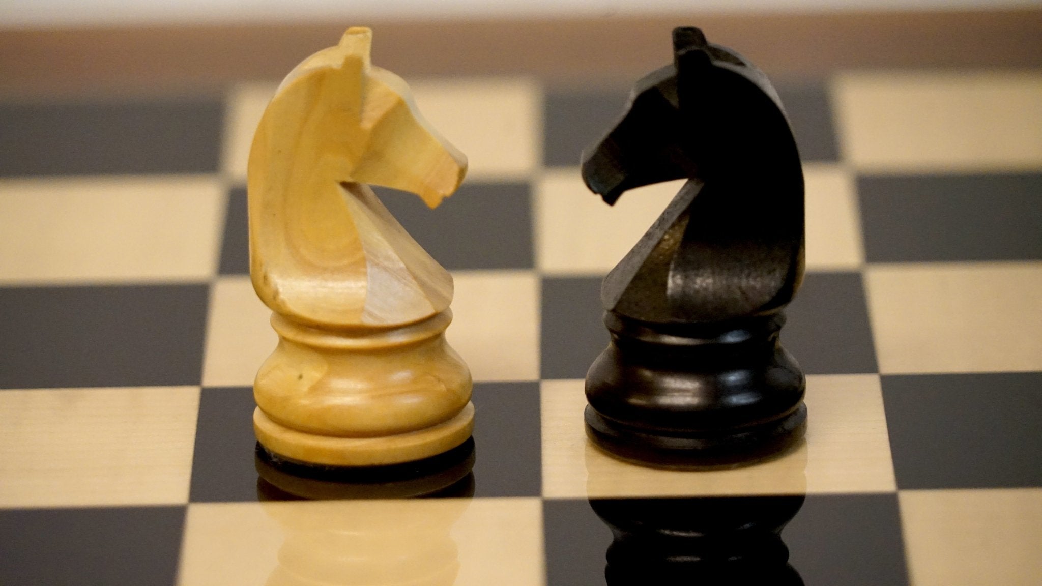 Ensemble Français Chavet - Bords palissandre laqué - Ensemble d’échecs classique - Rouge et Noir