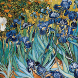 Puzzle Eurographics - 1000 p - Iris - Vincent Van Gogh - Puzzle en carton - Rouge et Noir