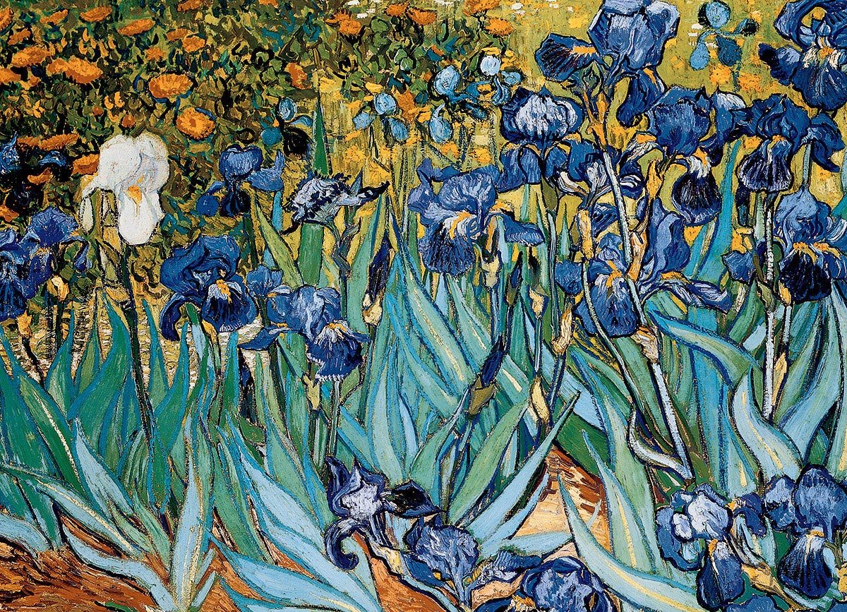 Puzzle Eurographics - 1000 p - Iris - Vincent Van Gogh - Puzzle en carton - Rouge et Noir
