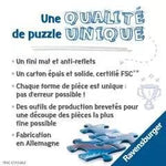 Puzzle Ravensburger - 5000 p - Chapelle Sixtine - Puzzle en carton - Rouge et Noir