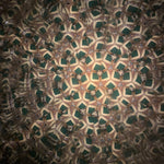 Thaumascope - 13 cm - A l’unité - Jeux Optiques - Rouge et Noir